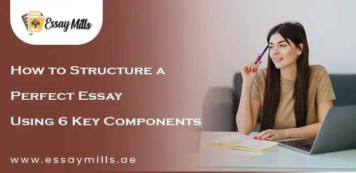 How to Structure a Perfect Essay Using 6 Key Components